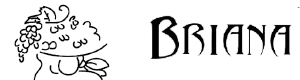 Logo Briana